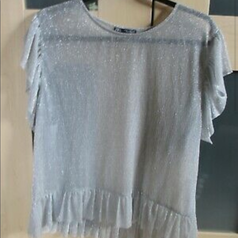 Sheer Silver Zara Top